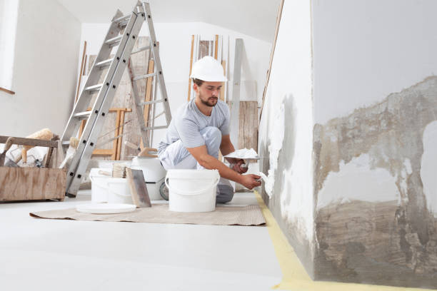 Mold Odor Removal Services in Yaphank, NY