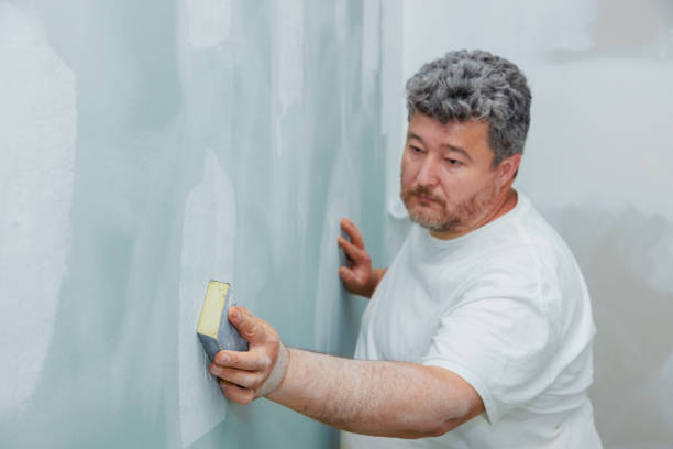 Best Mold Damage Restoration  in Yaphank, NY