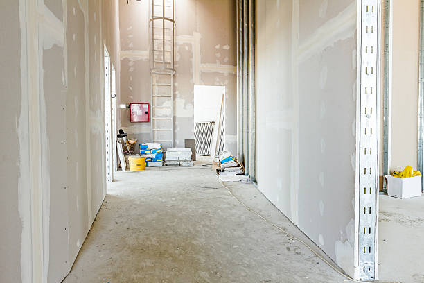 Best Industrial Mold Remediation  in Yaphank, NY
